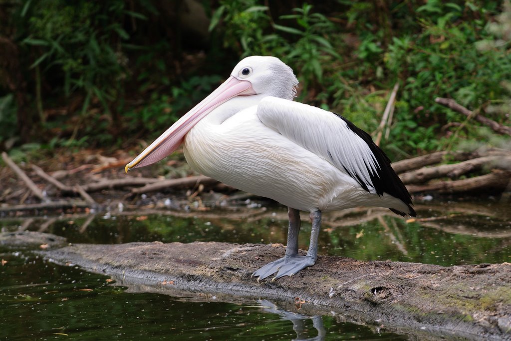 Badger Creek VIC 3777, Australia by bb415