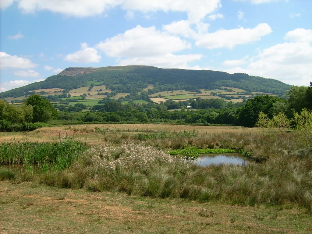 Skirrid Fawr from Pantygelli by Udo Schultz