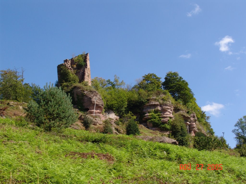 Ruine du chateau by brignon