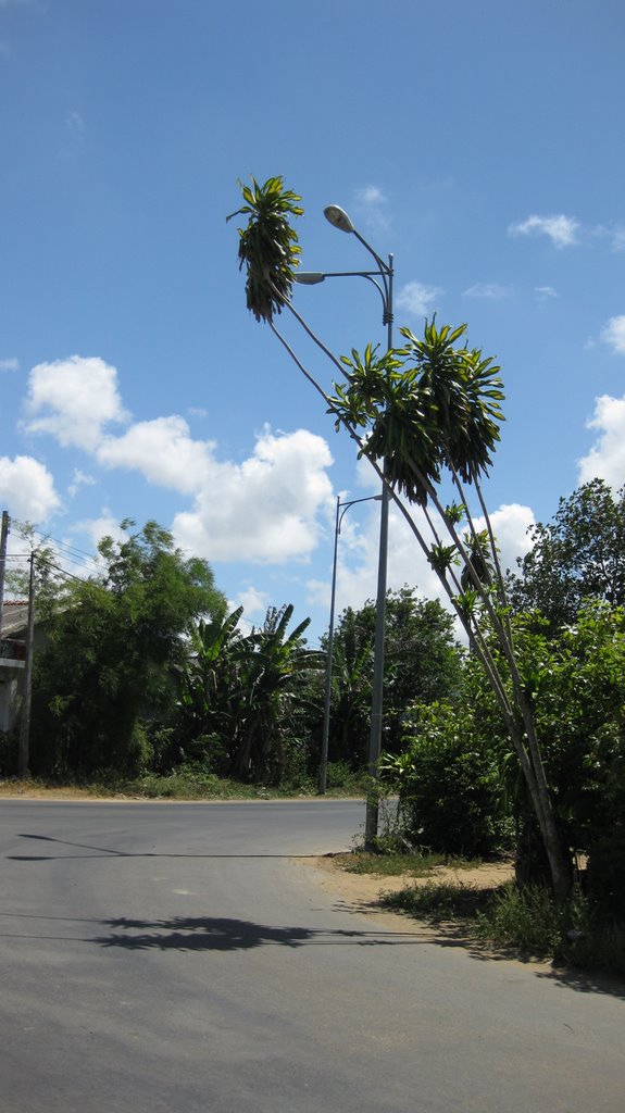 Ngã ba đường về Trà Vinh by Nam Tuan