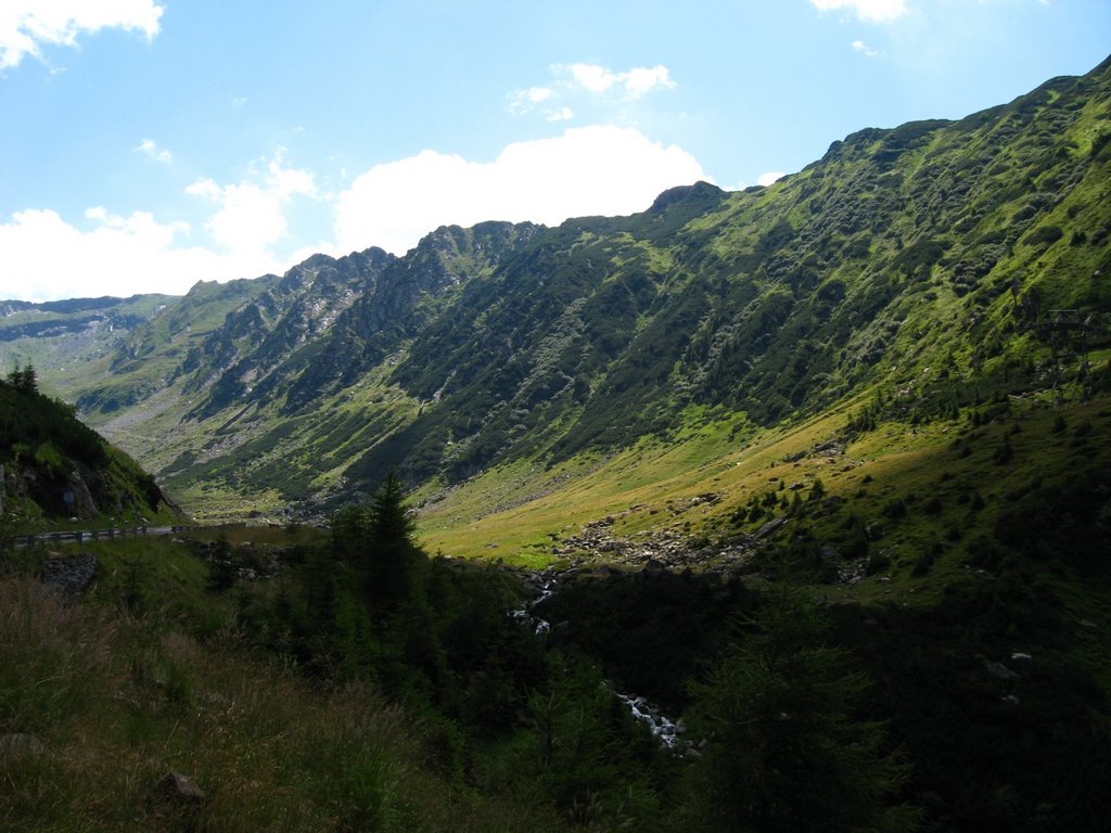 TRANSFAGARASAN by ady4you