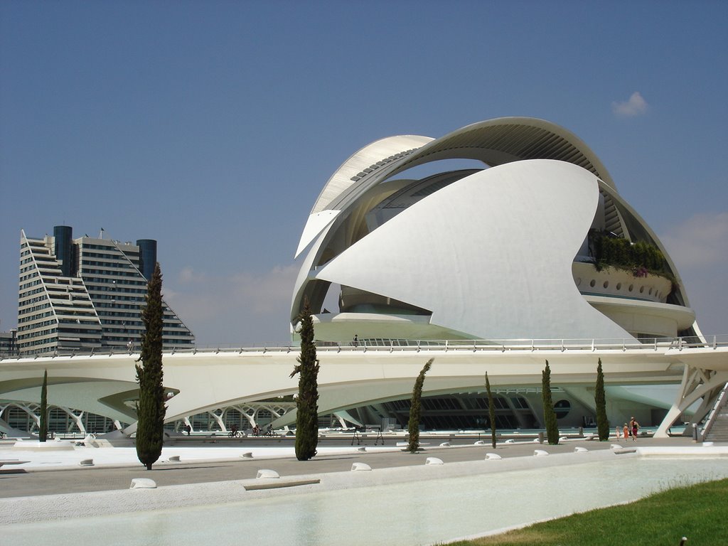 Valencia-Opera House by sione1