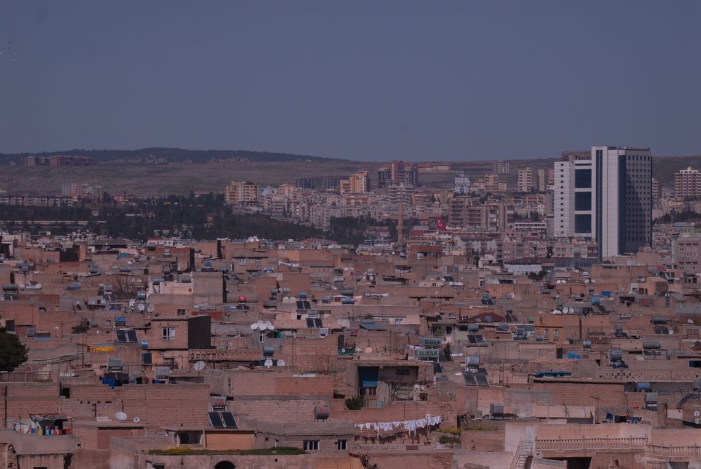 Urfa Turkey by Kafadengi Hüseyin