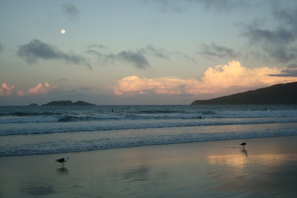 Playa de los Ingleses by Diego C