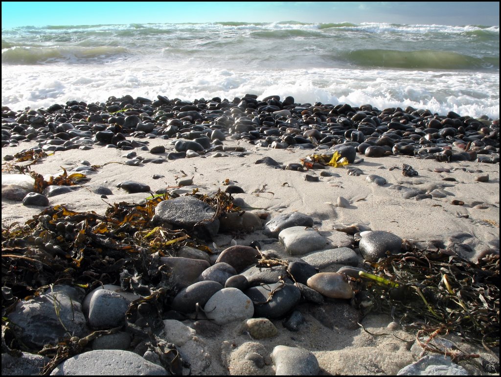 Nienhagen an der Ostseeküste im Landkreis Nordvorpommern in Mecklenburg-Vorpommern by Ralf Pätzold