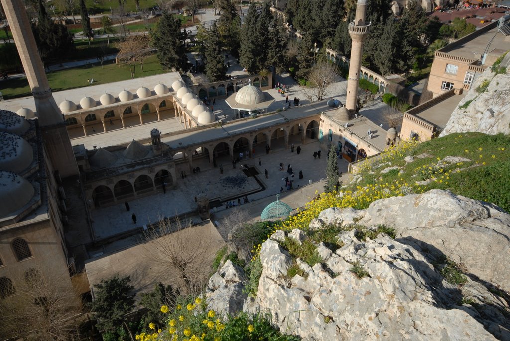 Urfa Turkey by Kafadengi Hüseyin