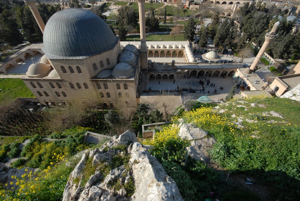 Urfa Turkey by Kafadengi Hüseyin