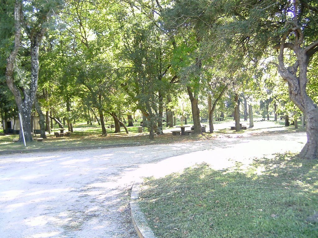 Parque de pando by Giovanni fredo