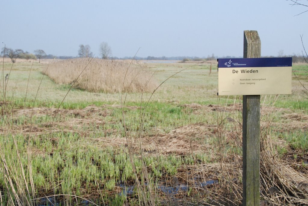 "De wieden" natuurgebied bij Giethoorn by E Vreeswijk