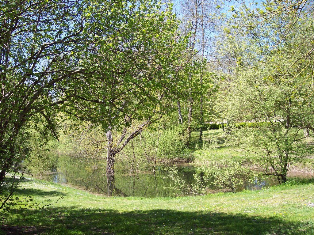 Etang dans le parc du château, Saron-sur-Aube by TitTornade