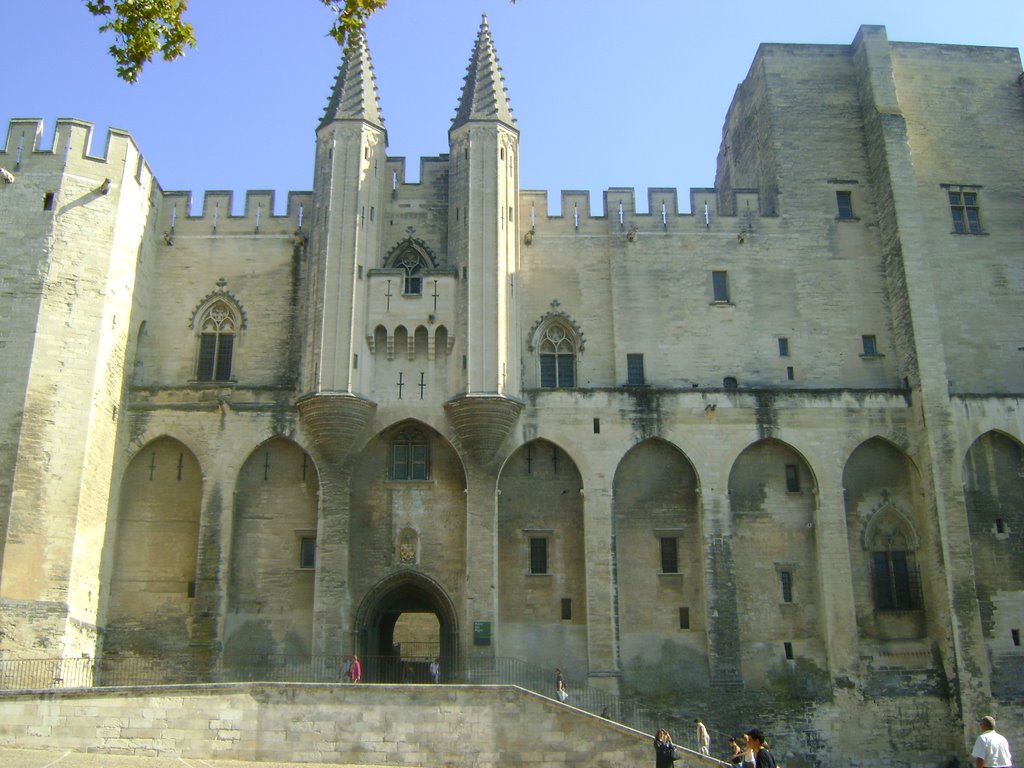 Palais des papes by belaid13