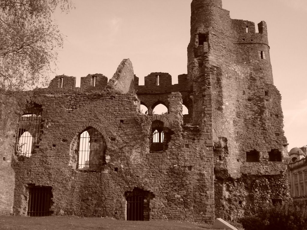 Swansea Castle - © Émerson-V by Émerson-V