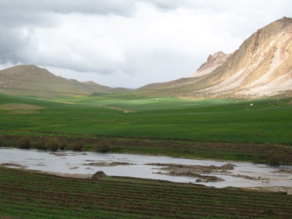 Kermanshah, Iran by Indira Hobab