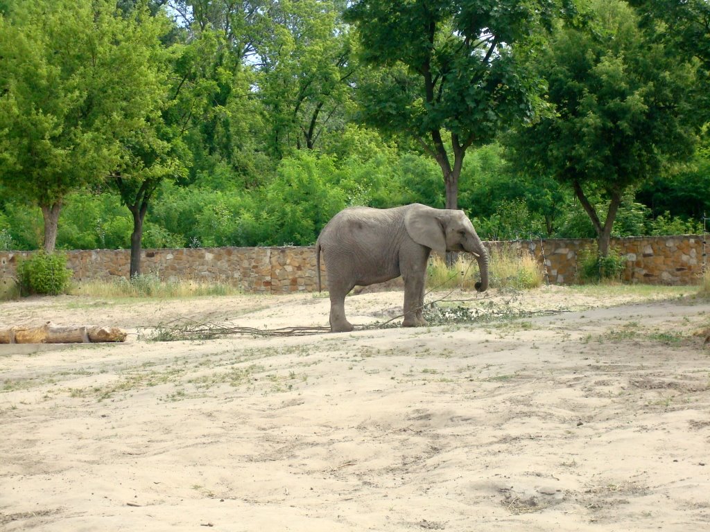 Warsaw ZOO by heidegreen