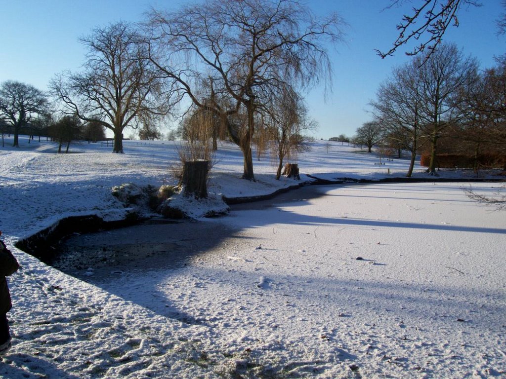 Macclesfield, UK by donatduck