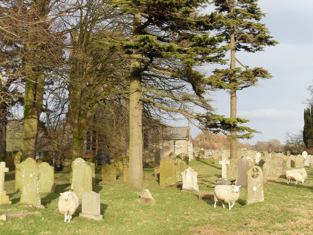 Sheep in Coverham graveyard by Keith Ruffles