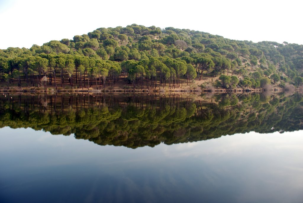 Reflejos by jmaldini