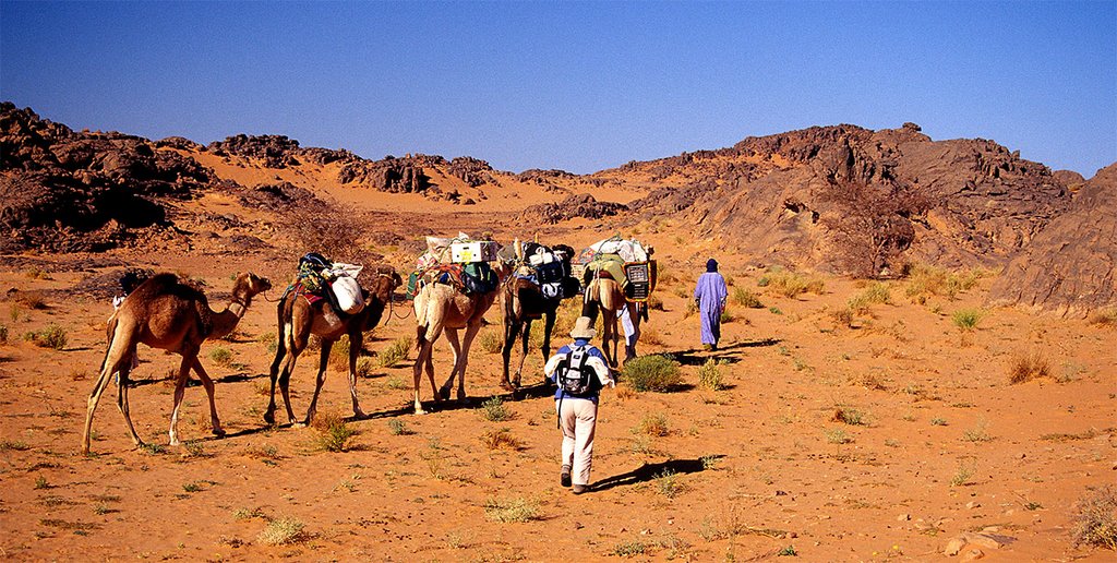 YD_Algérie - tassili n'Ajjer by yves75