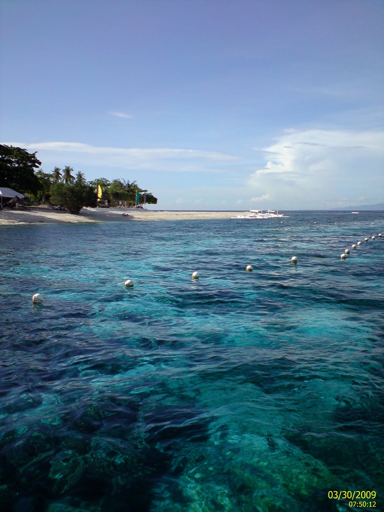 Balicasag Island by Steve ZHU