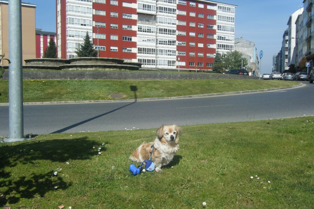 Rocky en la fonte do rei 1 by Daniel  Fernández