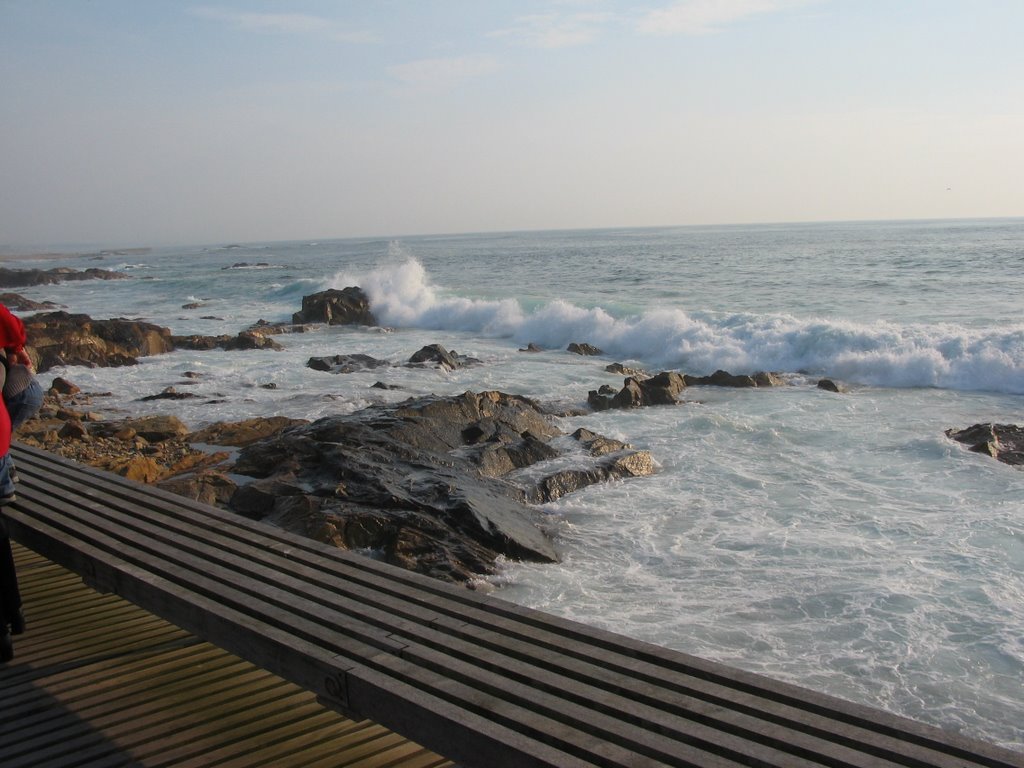 Porto, bord de mer... by familiarodrigues