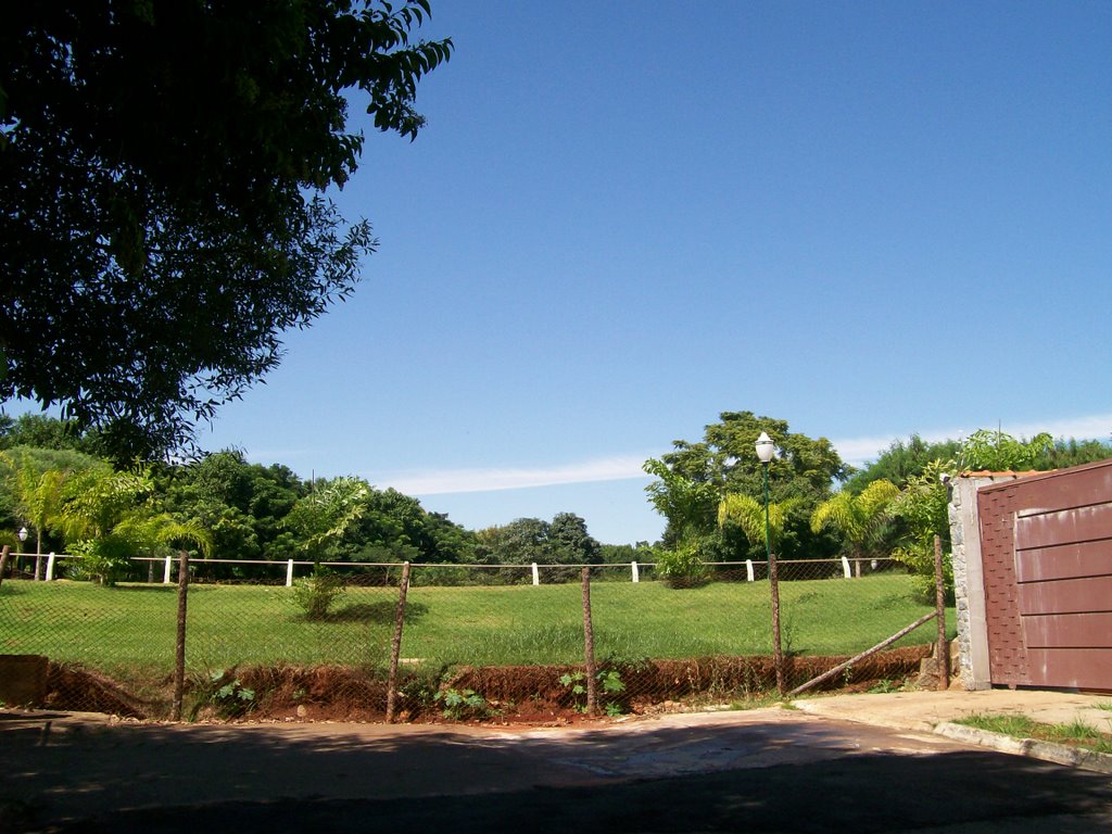 Vendo o Jardim Botânico da rua Itambé by Cleuza Daros