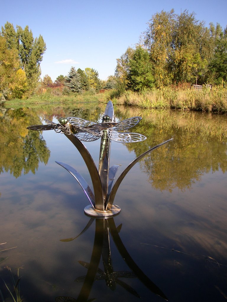 Dragonfly Sculpture (Commissioned in honor of my uncle) by Zach Peterson