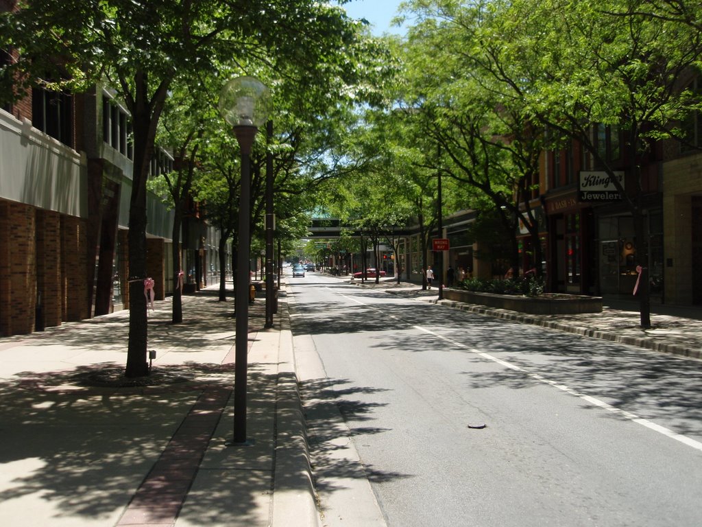 Calhoun St, looking south, May 28, 2008 by rds64