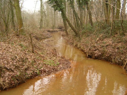 Creek near Ronkenstein by rolandweyers