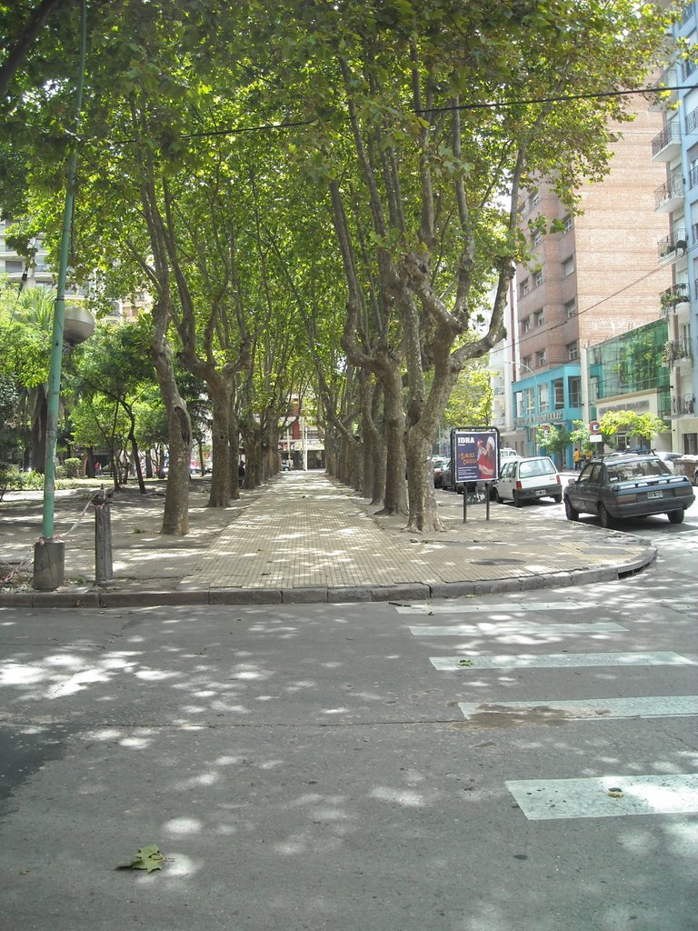 Árboles de Plaza San Martín sobre calle Mitre by Matha Burroughs