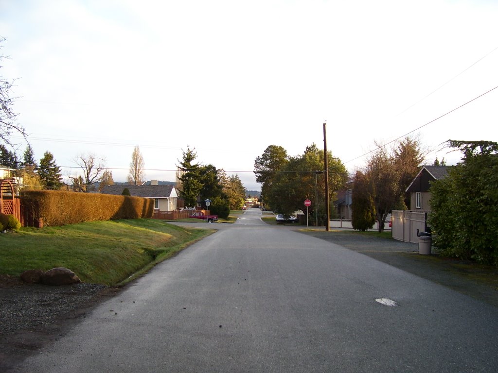 Looking north on Morpeth Avenue by kuschk