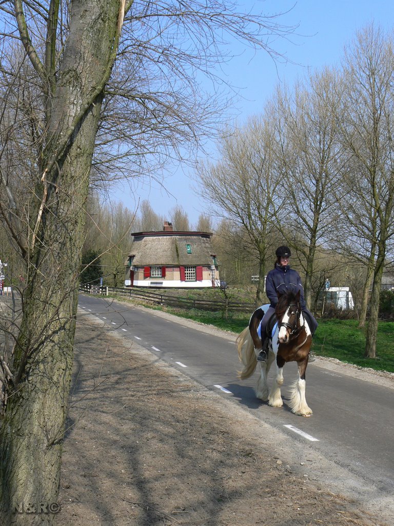 Early springtime at the Dutch countryside 9 by Nancy&Ronald NL Wandelingen