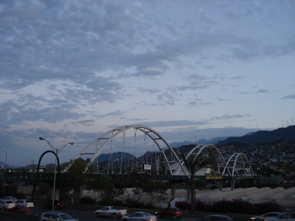 Puente Peatonal San Luisito by mike 79