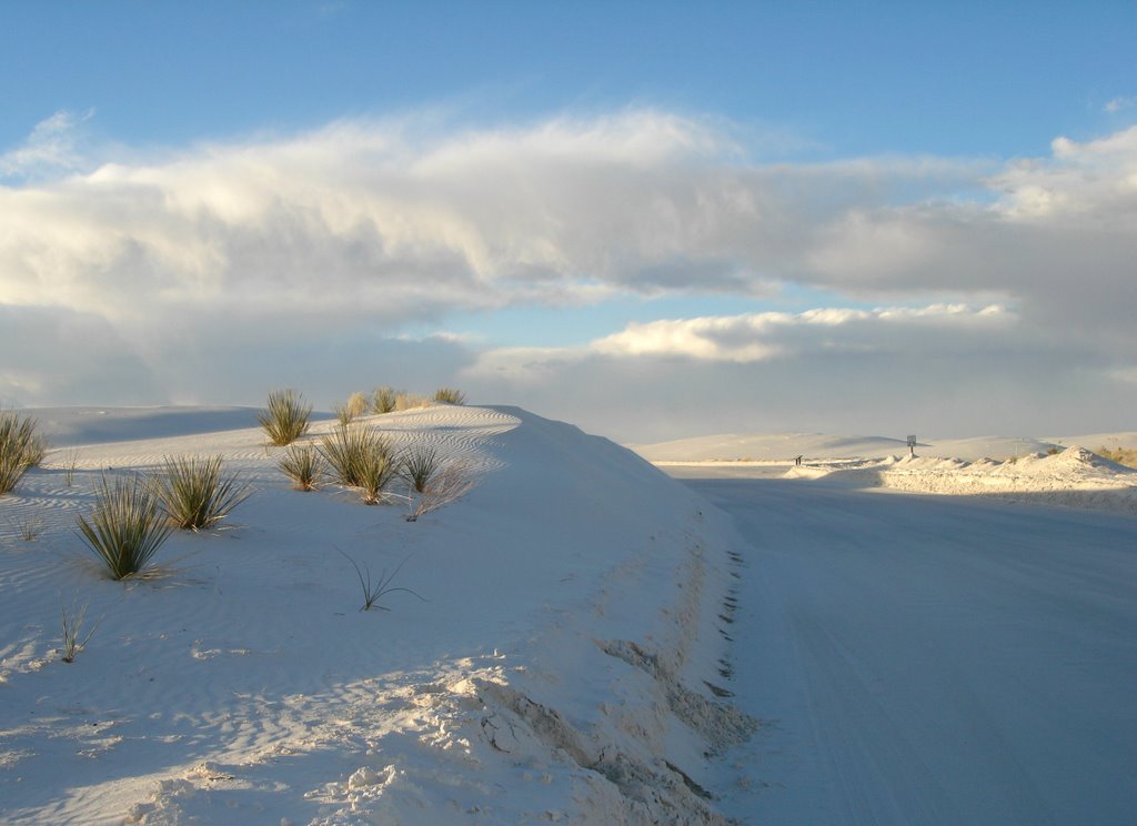 WHITE SANDS NATIONAL MONUMENT, NM, USA by MARELBU