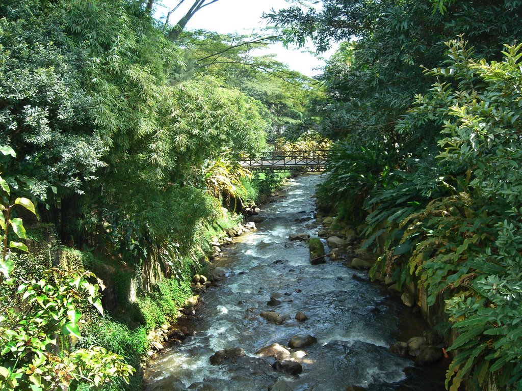 Quebrada La Ayurá by Jorge Gaviria