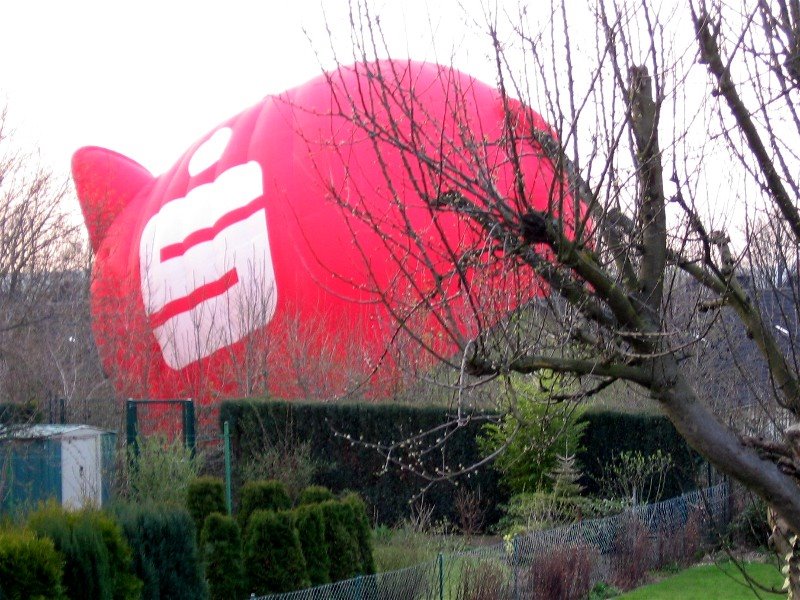 Landung Heißluftballon-Schweinchen by 14MAN02