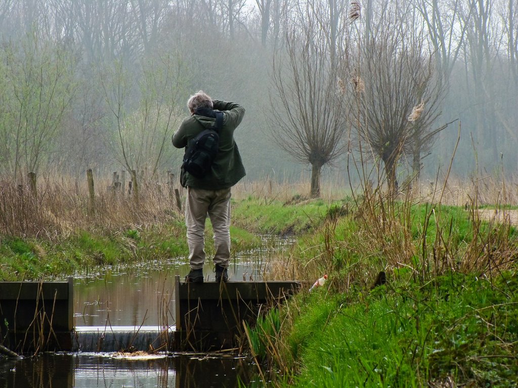 Ganzewinkel, Helmond by mzw a.k.a. uaf