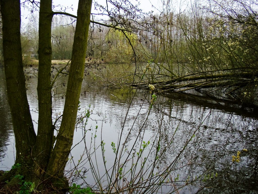 Houtsdonkpark, Ganzewinkel, Helmond by mzw a.k.a. uaf