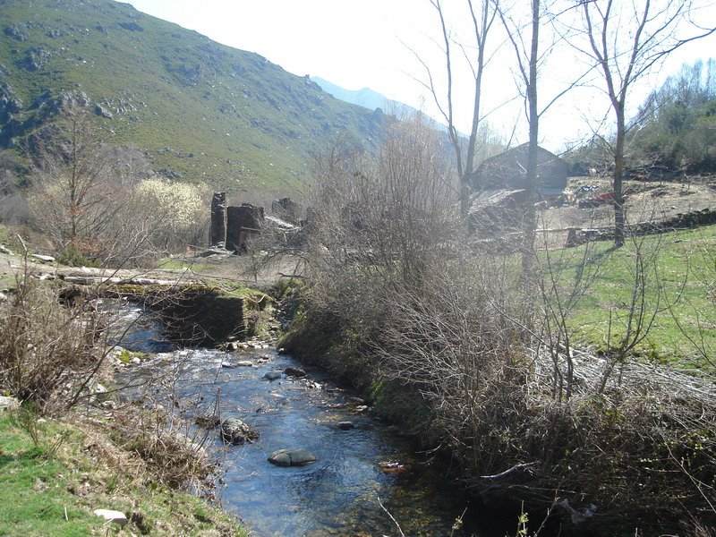 Montederramo, Province of Ourense, Spain by pedrocb