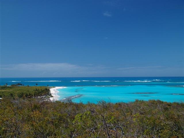 Anguilla by Didier Bonvin