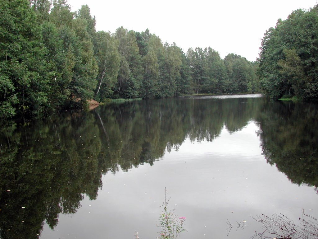 Kuzminichi, Kaluzhskaya oblast', Russia, 249517 by Igor Vladimirovich