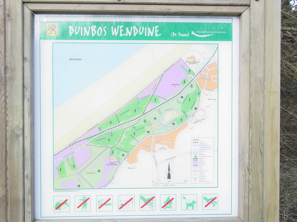 Typical local map of the forest by KrisL