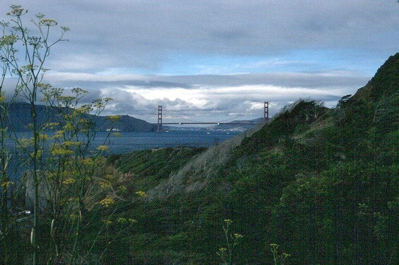 View east from Lincoln Park by Joel Skok