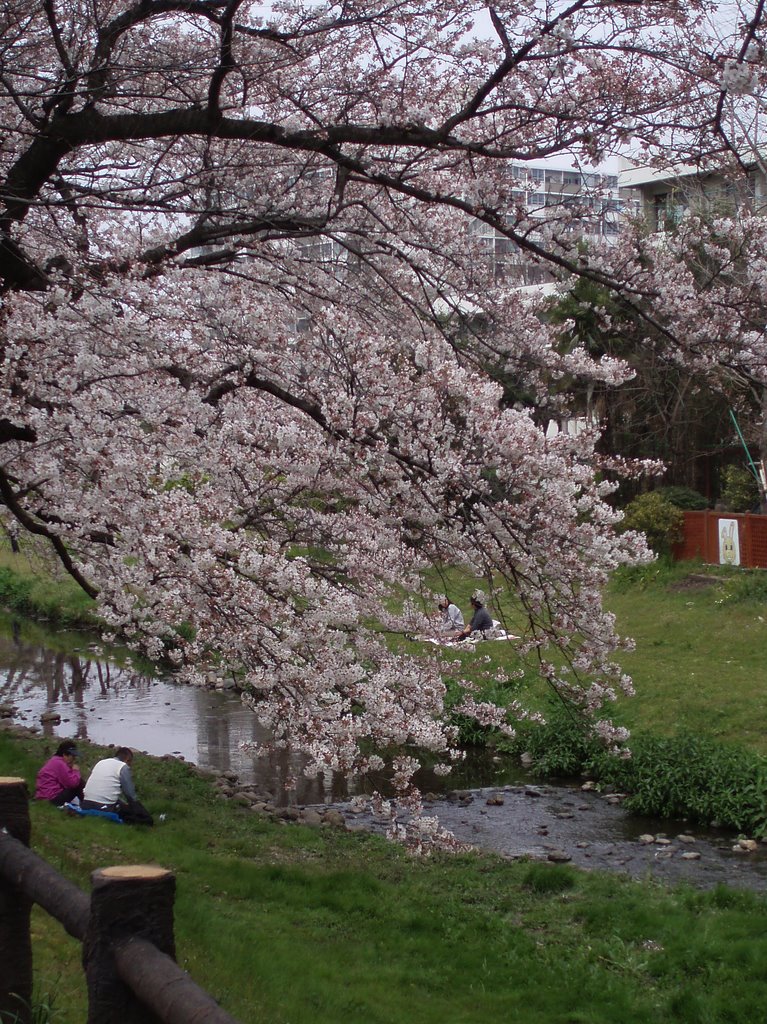 Negawa City Park by Kiyochan