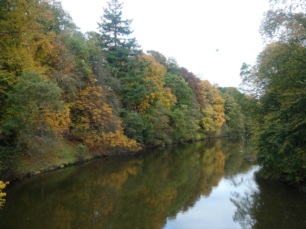 Wilton lodge park hawick 1. by johnfeg