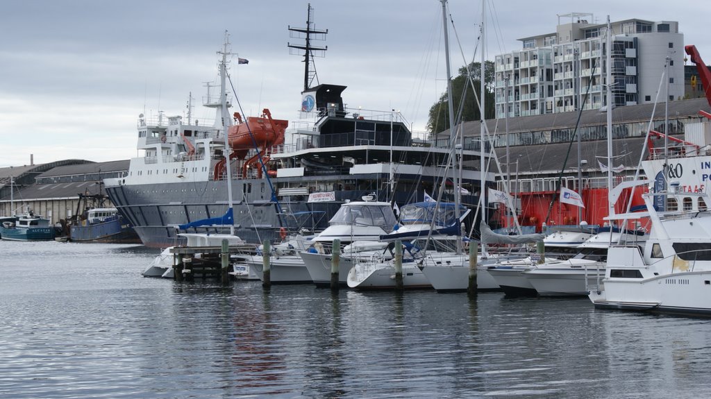 Ships In Hobart Harbour by njellis