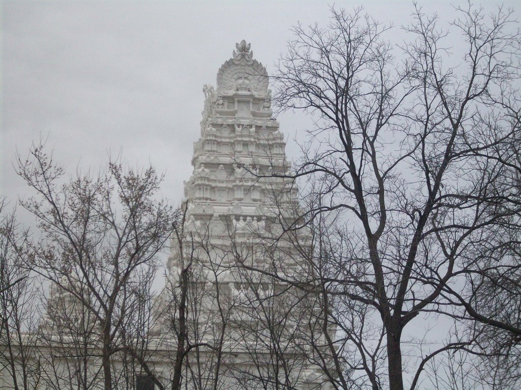 Hindu temple in lemont pic 2 by jess101