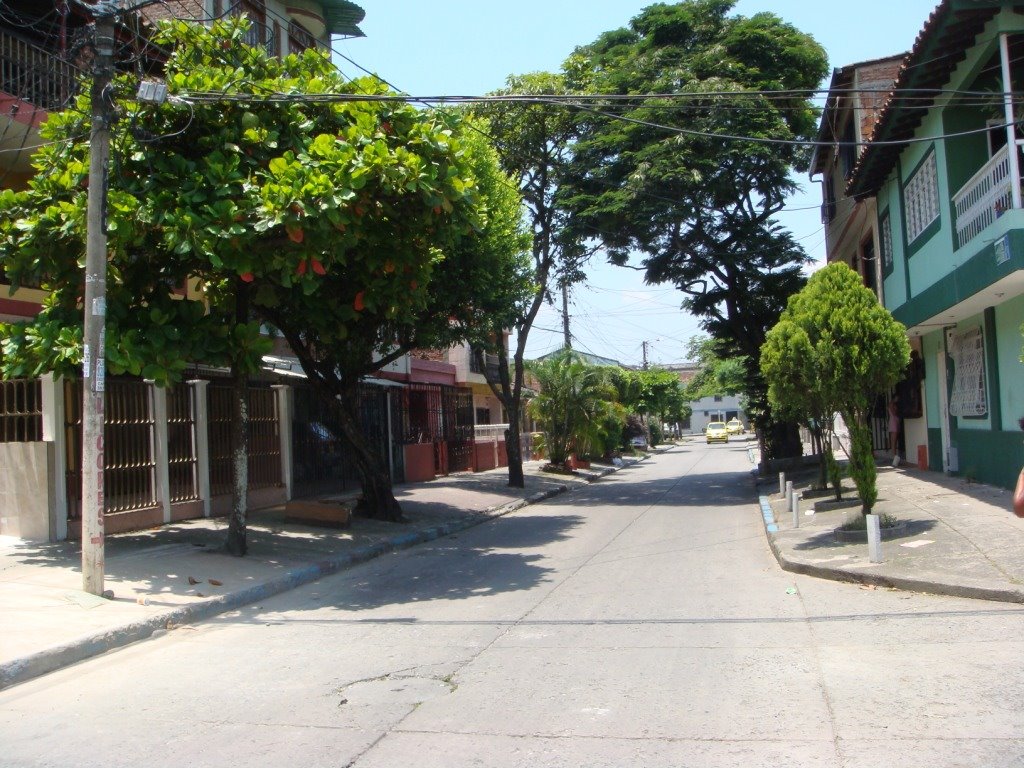 Manuel M. Buenaventura, Cali, Valle del Cauca, Colombia by carlos alberto arang…