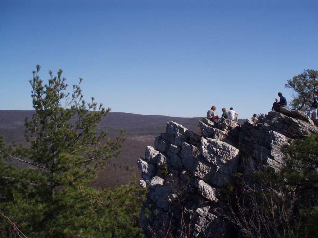 Atop Pole Steeple by zzzingrol