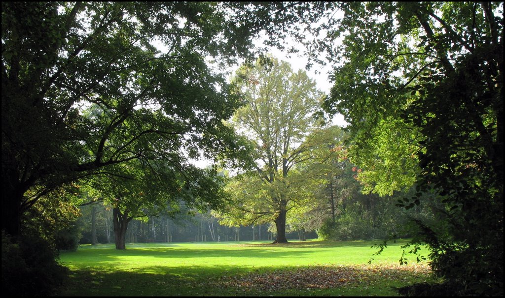 Im Tiergarten im Bezirk Mitte von Berlin by Ralf Pätzold, Berlin